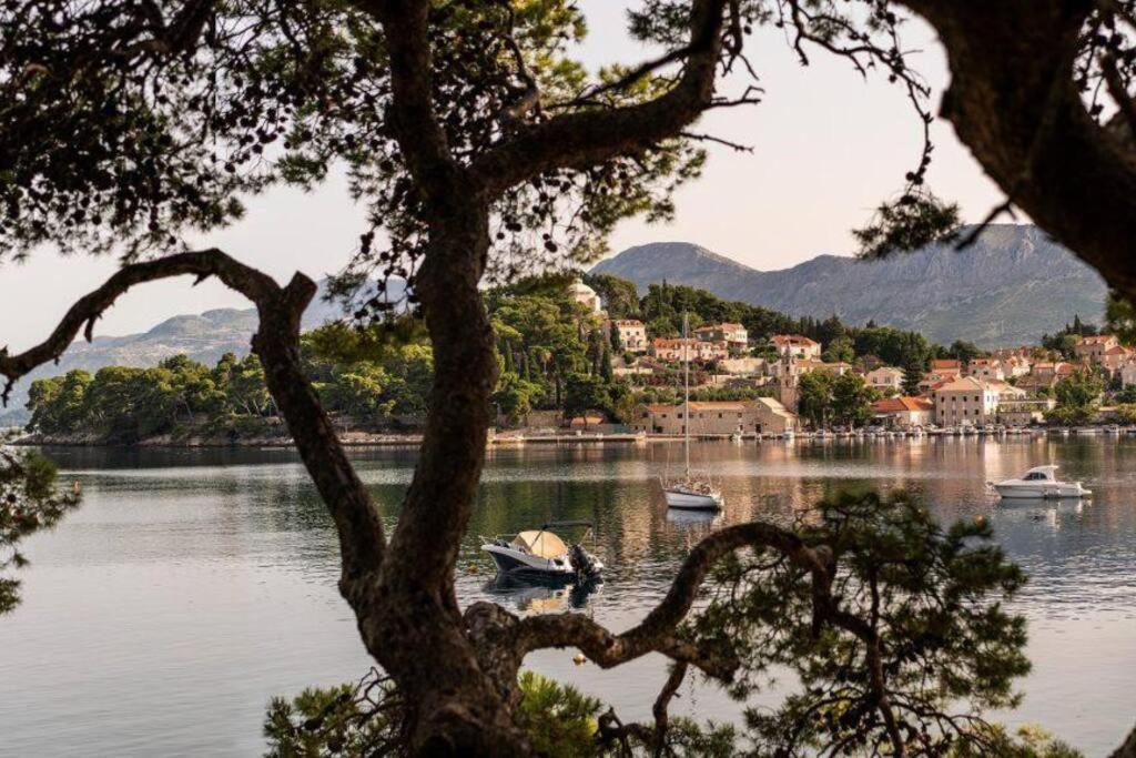 Apartment Biggy Cavtat Zewnętrze zdjęcie